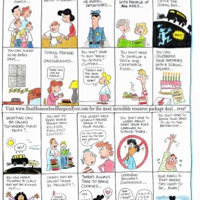 20 great reasons you homeschool
