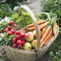 Save money with natural and organic coupons