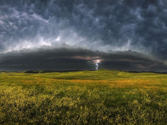 Praise Him In This Storm